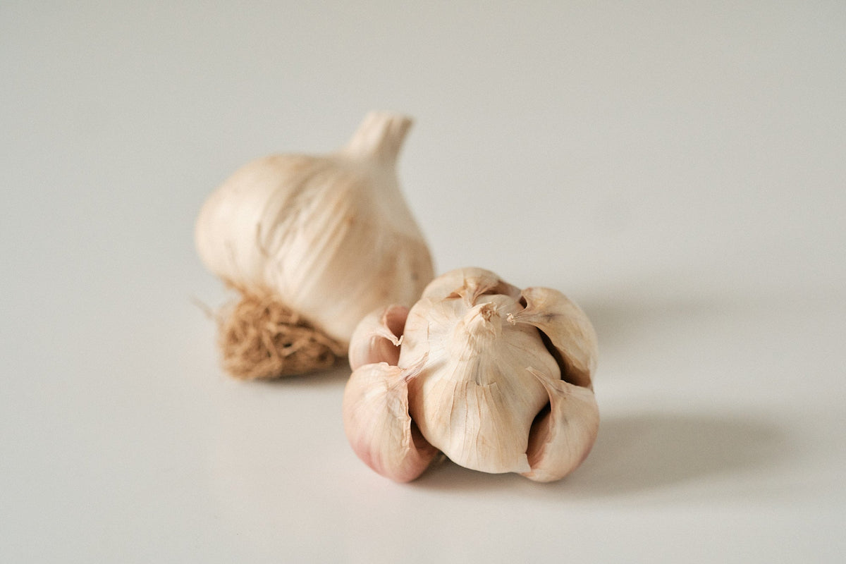 Silverskin Garlic