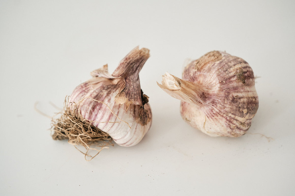 Turban Garlic
