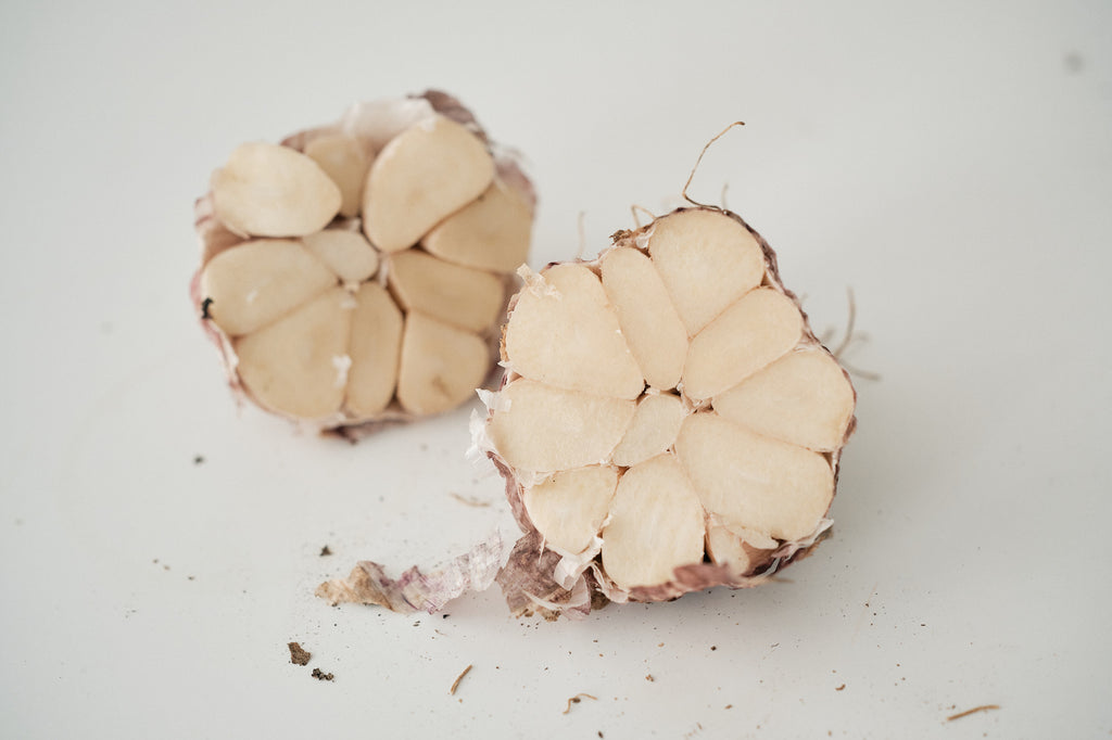 Armenian (Turban Garlic)