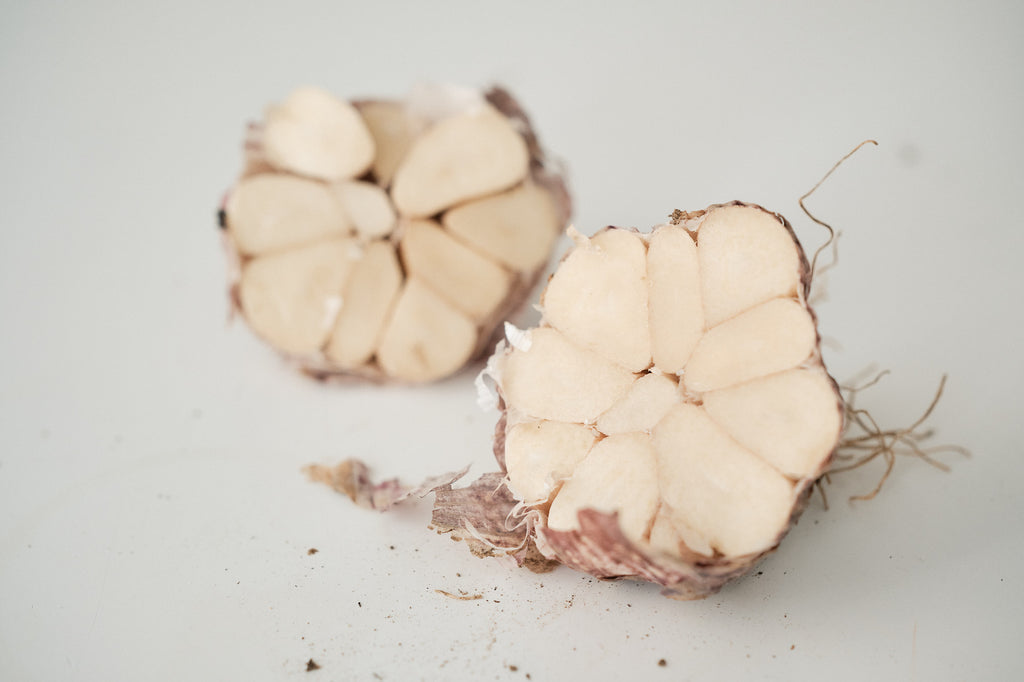 Armenian (Turban Garlic)