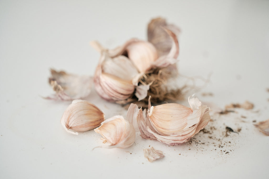 Armenian (Turban Garlic)