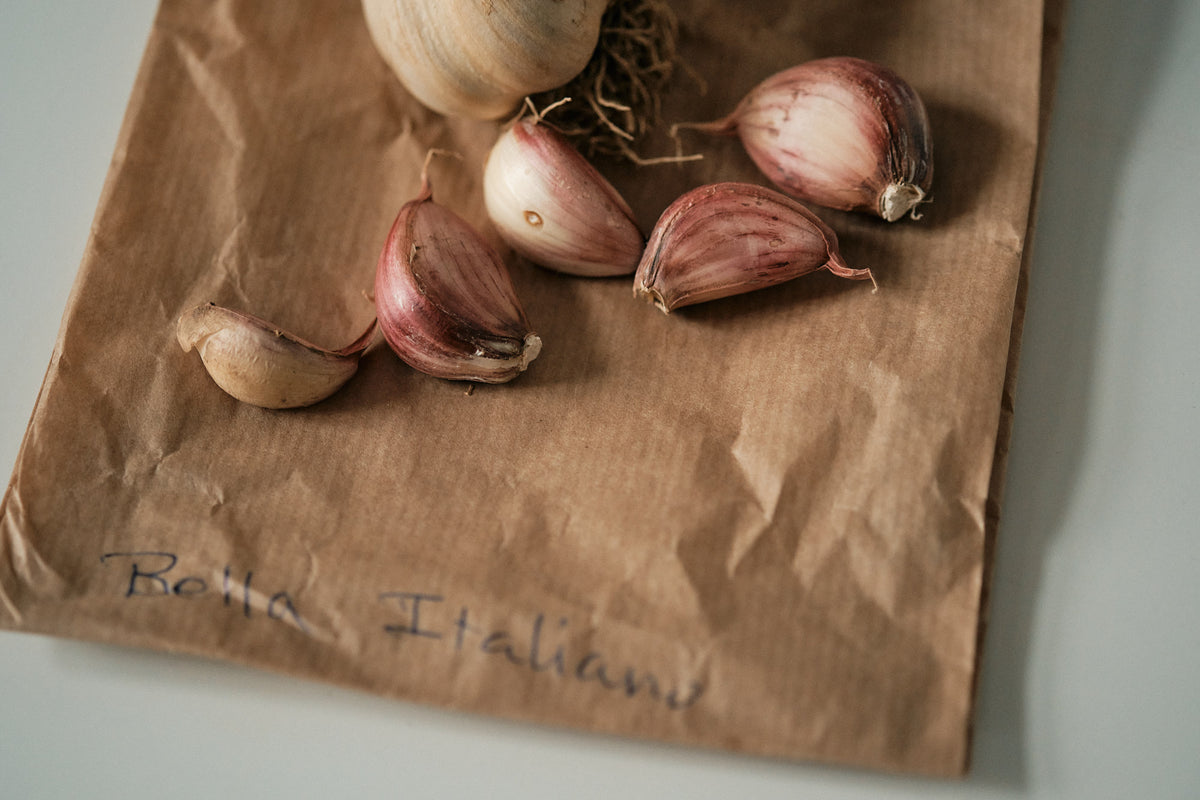 Bella Italiano (Creole Garlic)