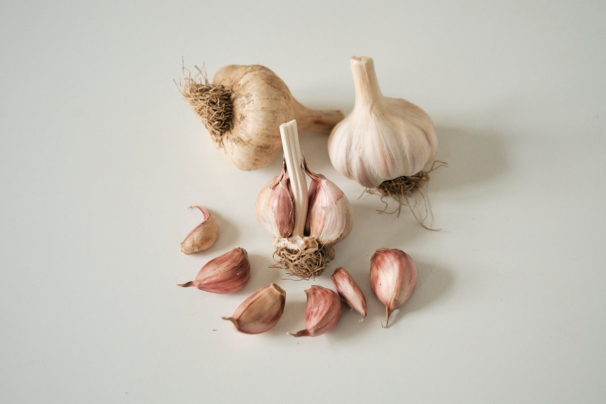 Bella Italiano (Creole Garlic)