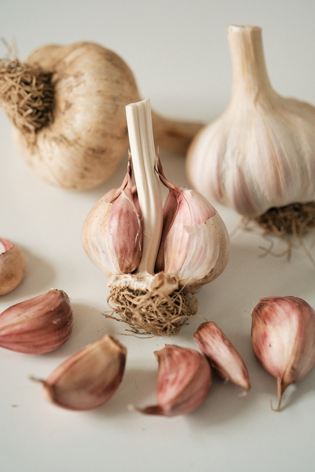 Bella Italiano (Creole Garlic)