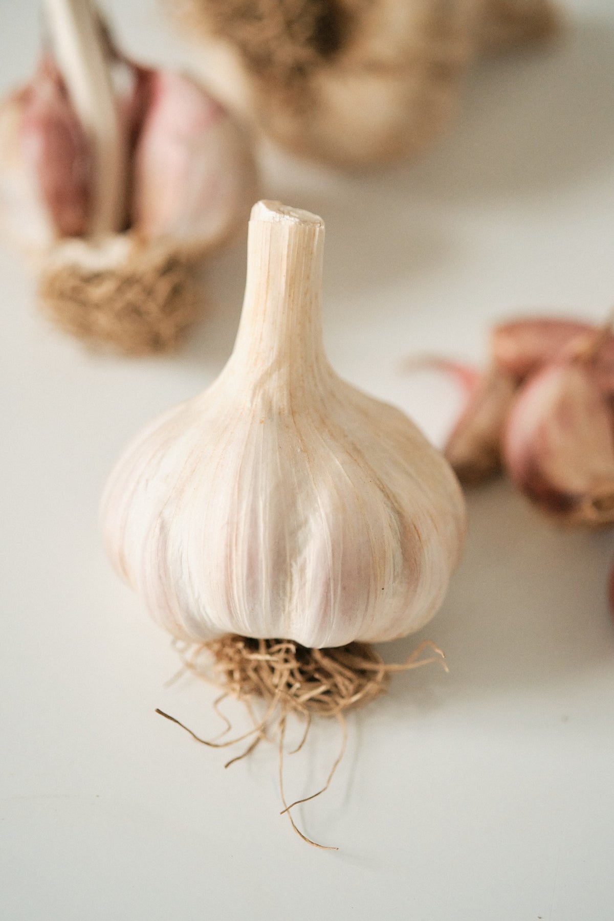 Bella Italiano (Creole Garlic)