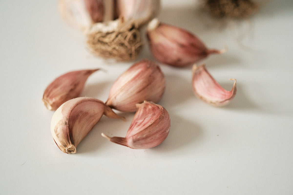 Bella Italiano (Creole Garlic)