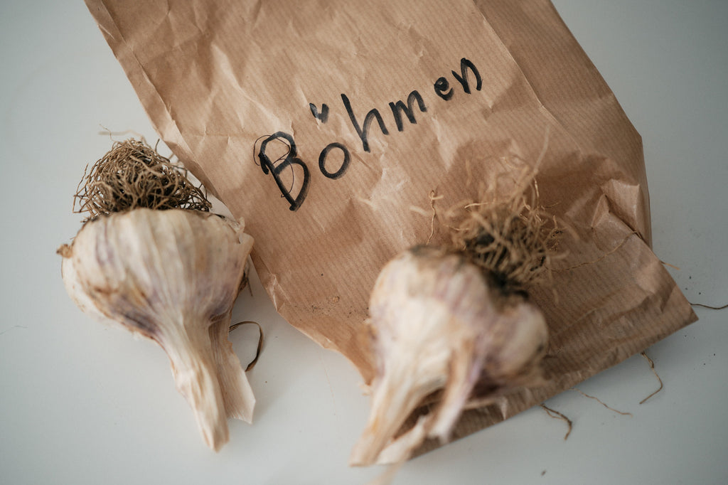 Böhmen (Artichoke Garlic)