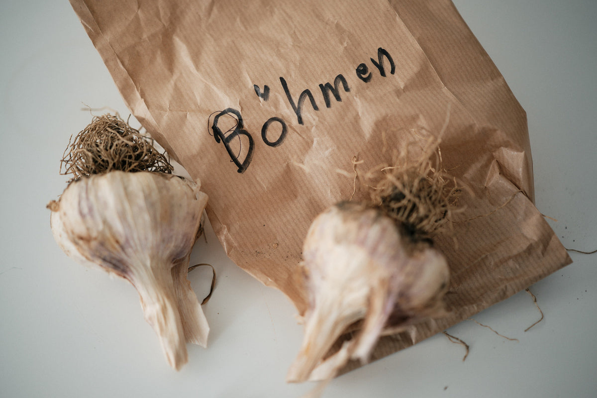 Böhmen (Artichoke Garlic)