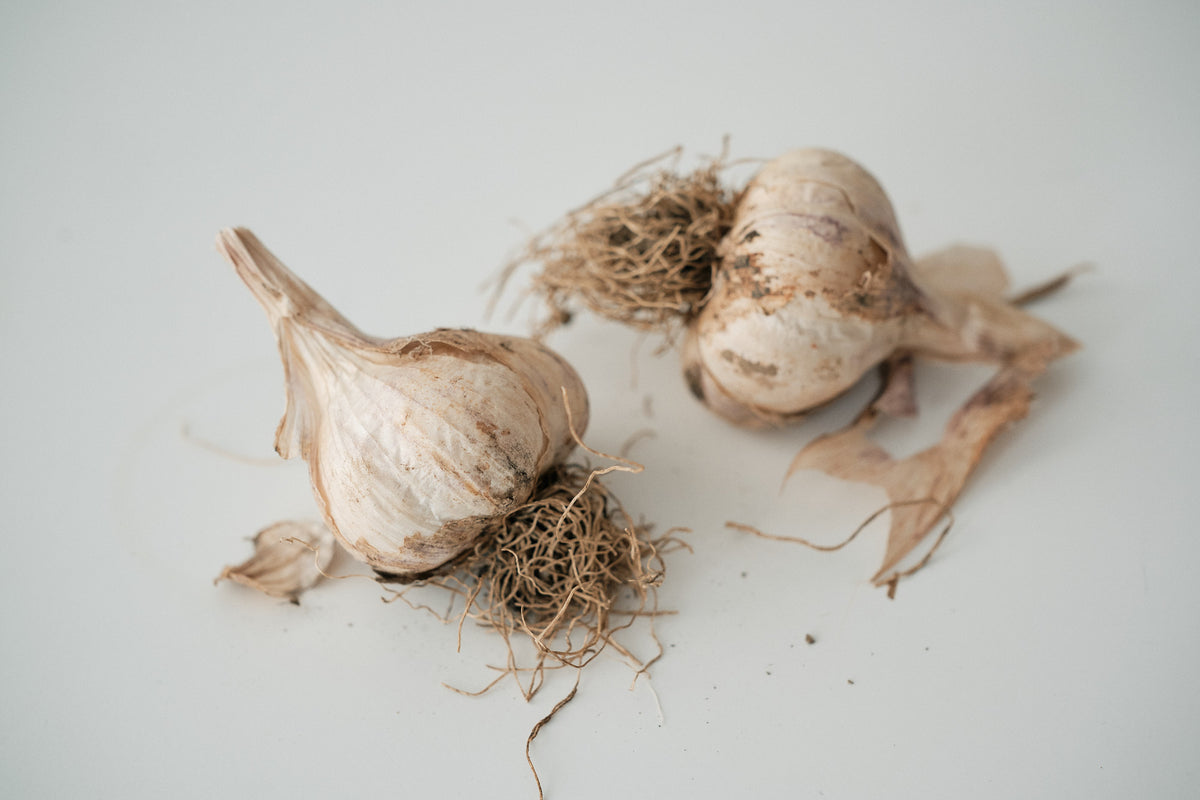 Böhmen (Artichoke Garlic)