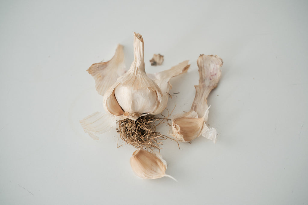 Böhmen (Artichoke Garlic)