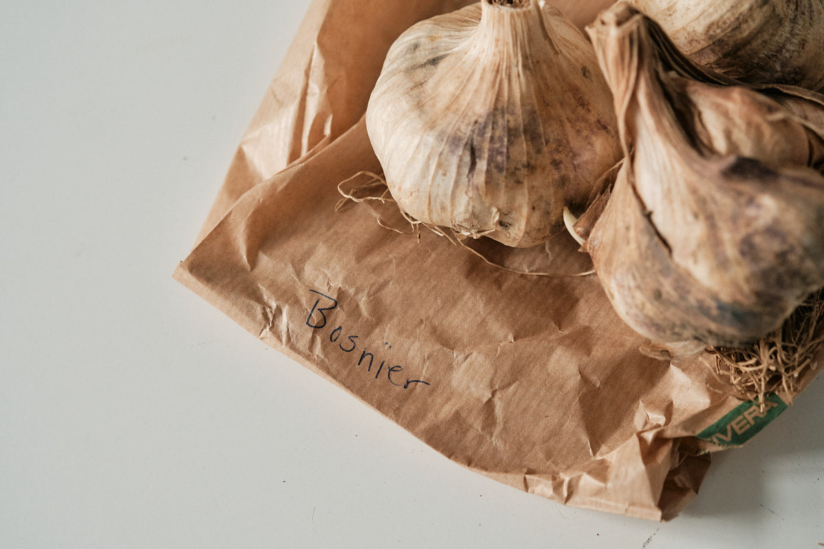 Bosnian (Artichoke Garlic)