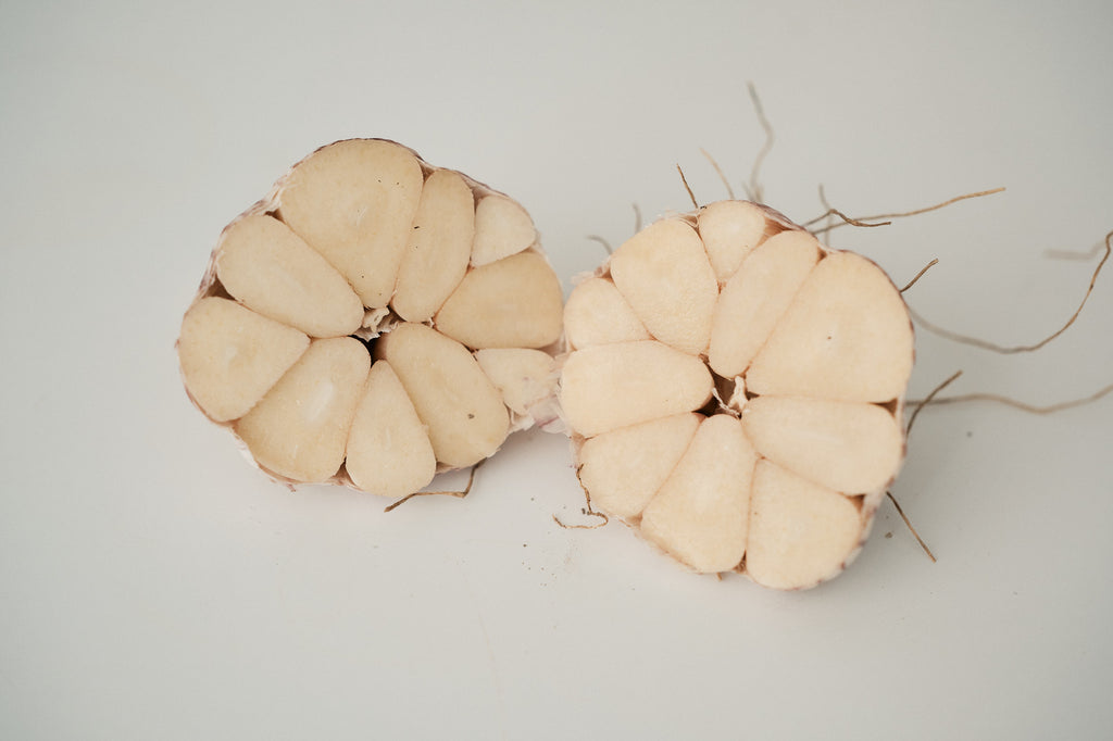 Chinese Purple (Turban Garlic)
