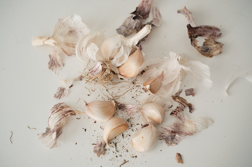 Chinese Purple (Turban Garlic)