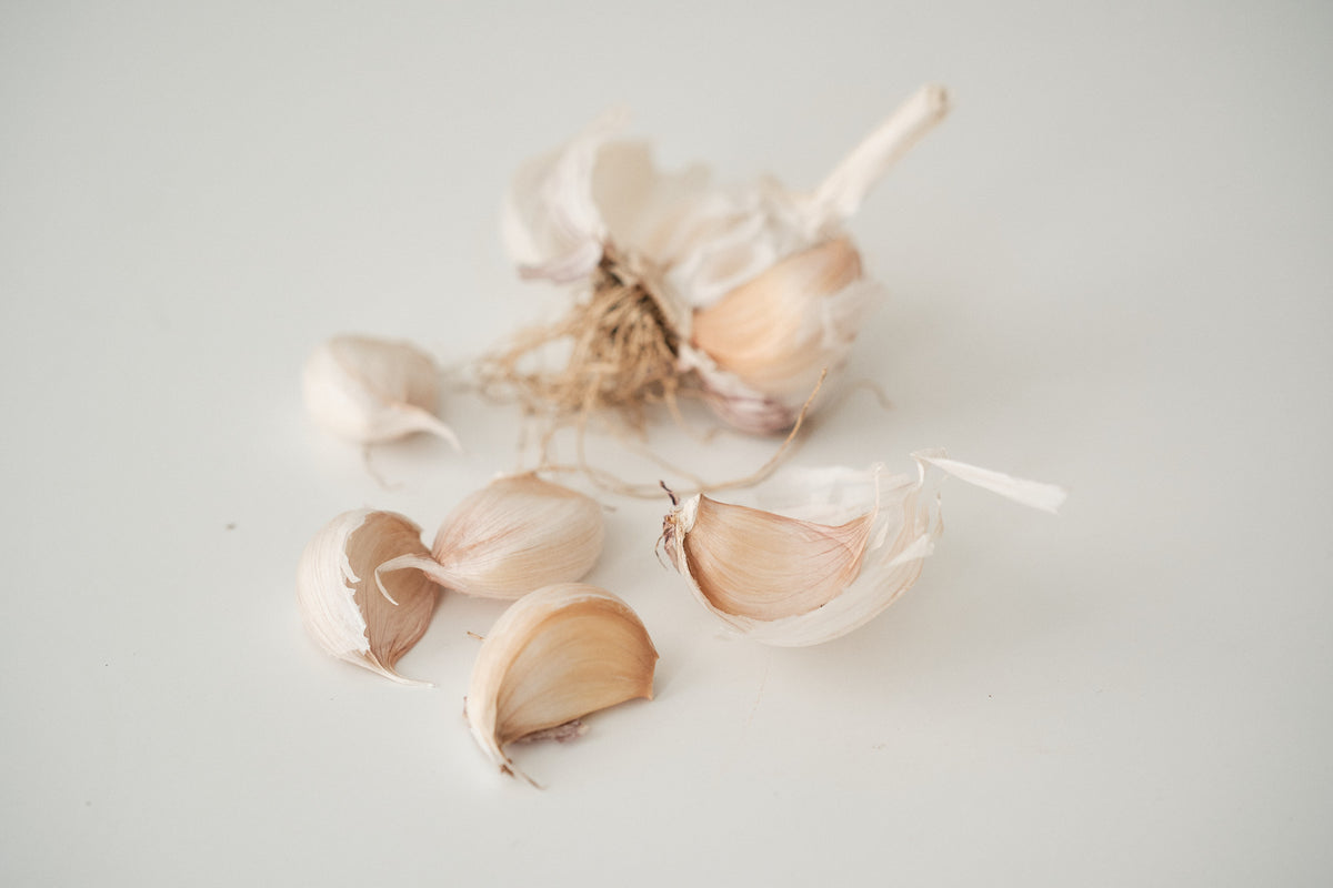 Chinese Purple (Turban Garlic)