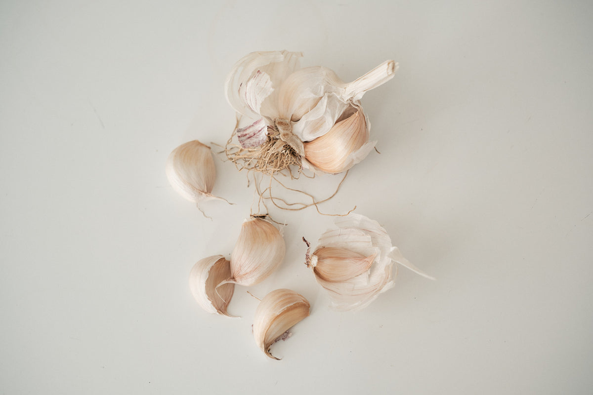Chinese Purple (Turban Garlic)