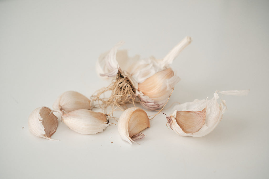 Chinese Purple (Turban Garlic)