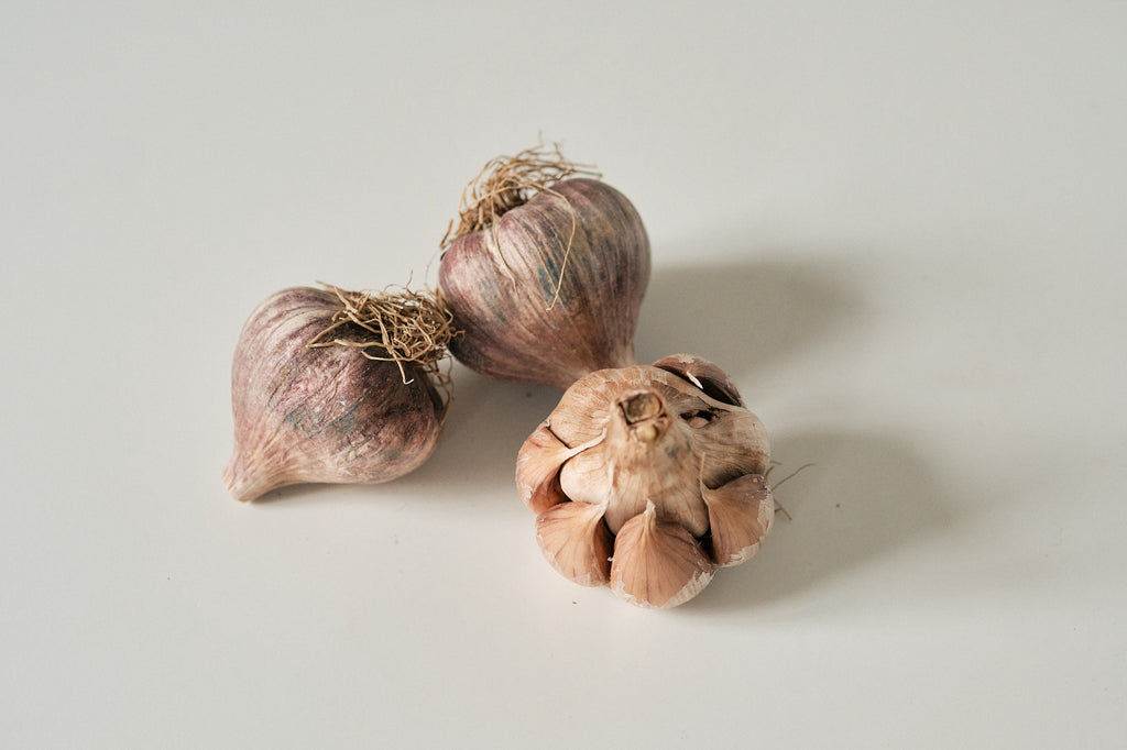 Early Purple (Artichoke Garlic)