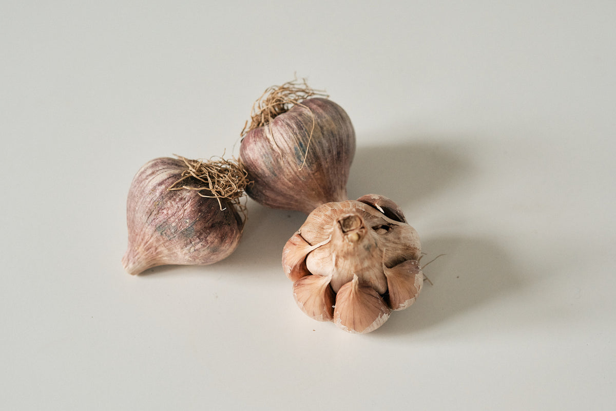 Early Purple (Artichoke Garlic)