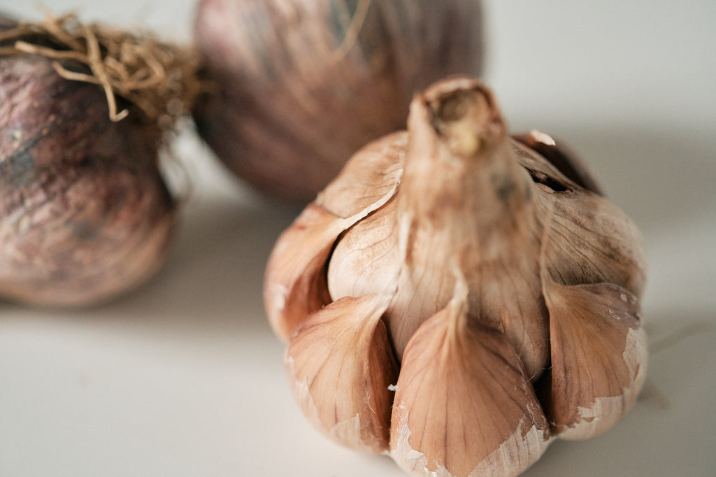 Early Purple (Artichoke Garlic)
