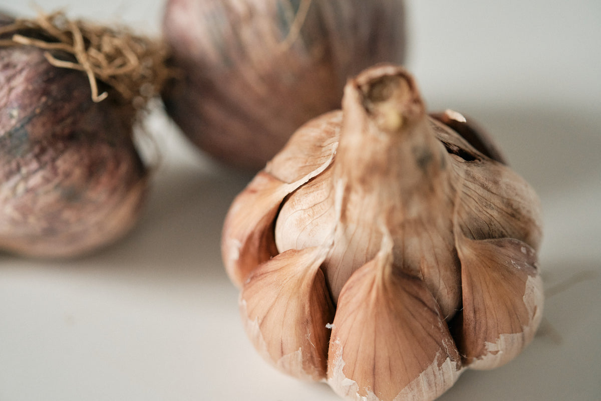 Early Purple (Artichoke Garlic)