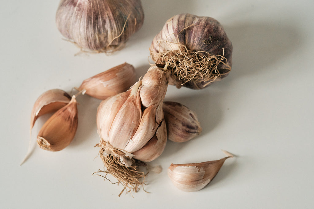 Early Purple (Artichoke Garlic)