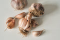 Early Purple (Artichoke Garlic)