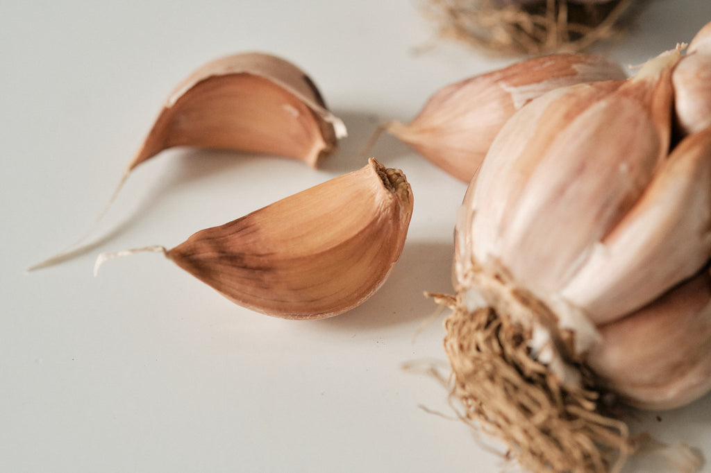 Early Purple (Artichoke Garlic)