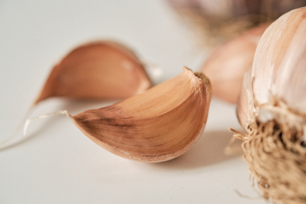Early Purple (Artichoke Garlic)