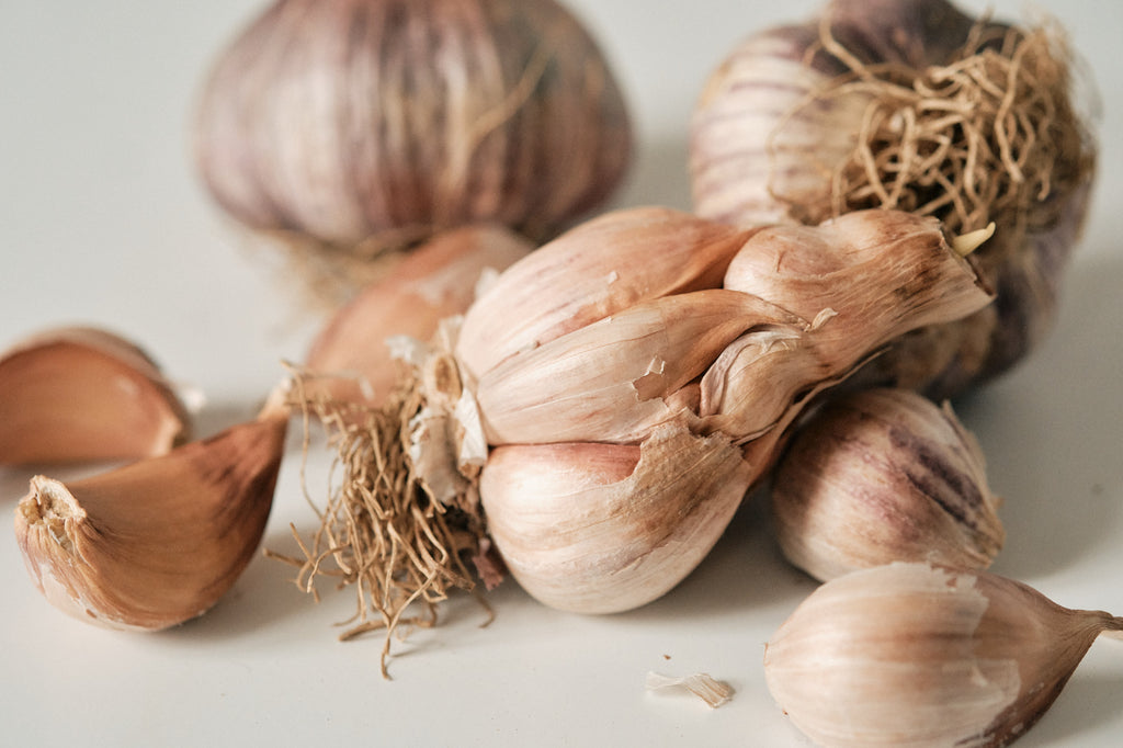 Early Purple (Artichoke Garlic)