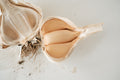 Elephant (Elephant Garlic)