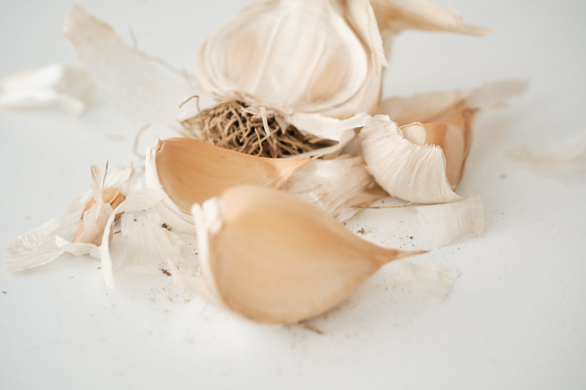 Elephant (Elephant Garlic)