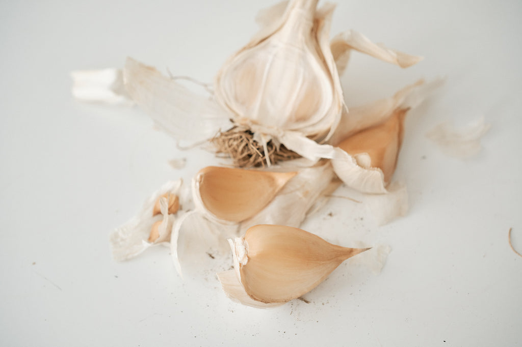 Elephant (Elephant Garlic)