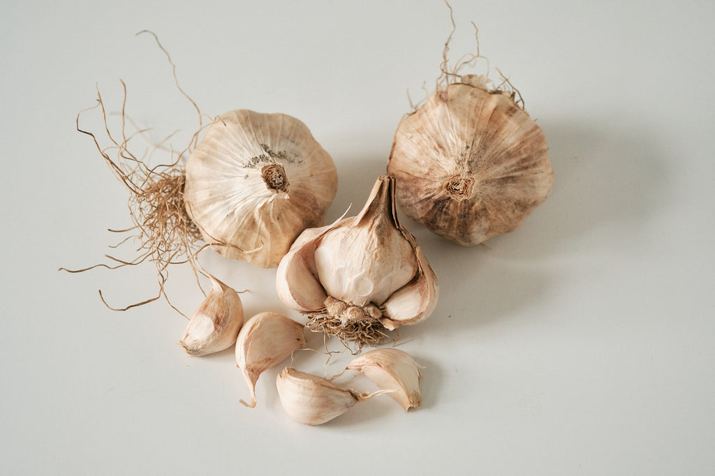 Iberian (Artichoke Garlic)