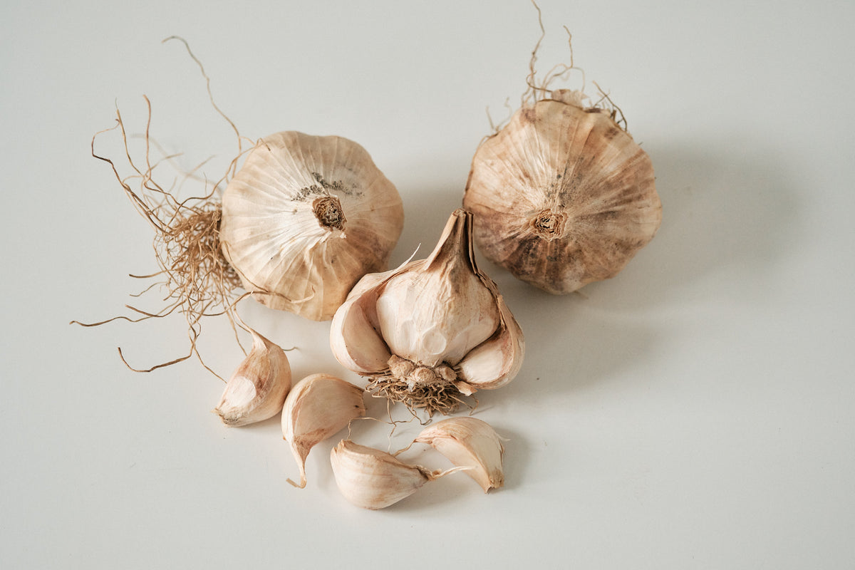 Iberian (Artichoke Garlic)