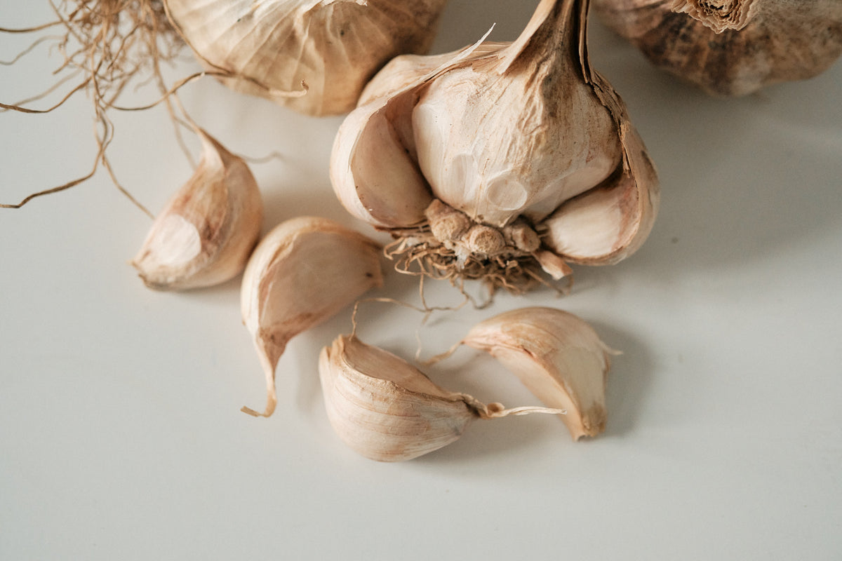 Iberian (Artichoke Garlic)