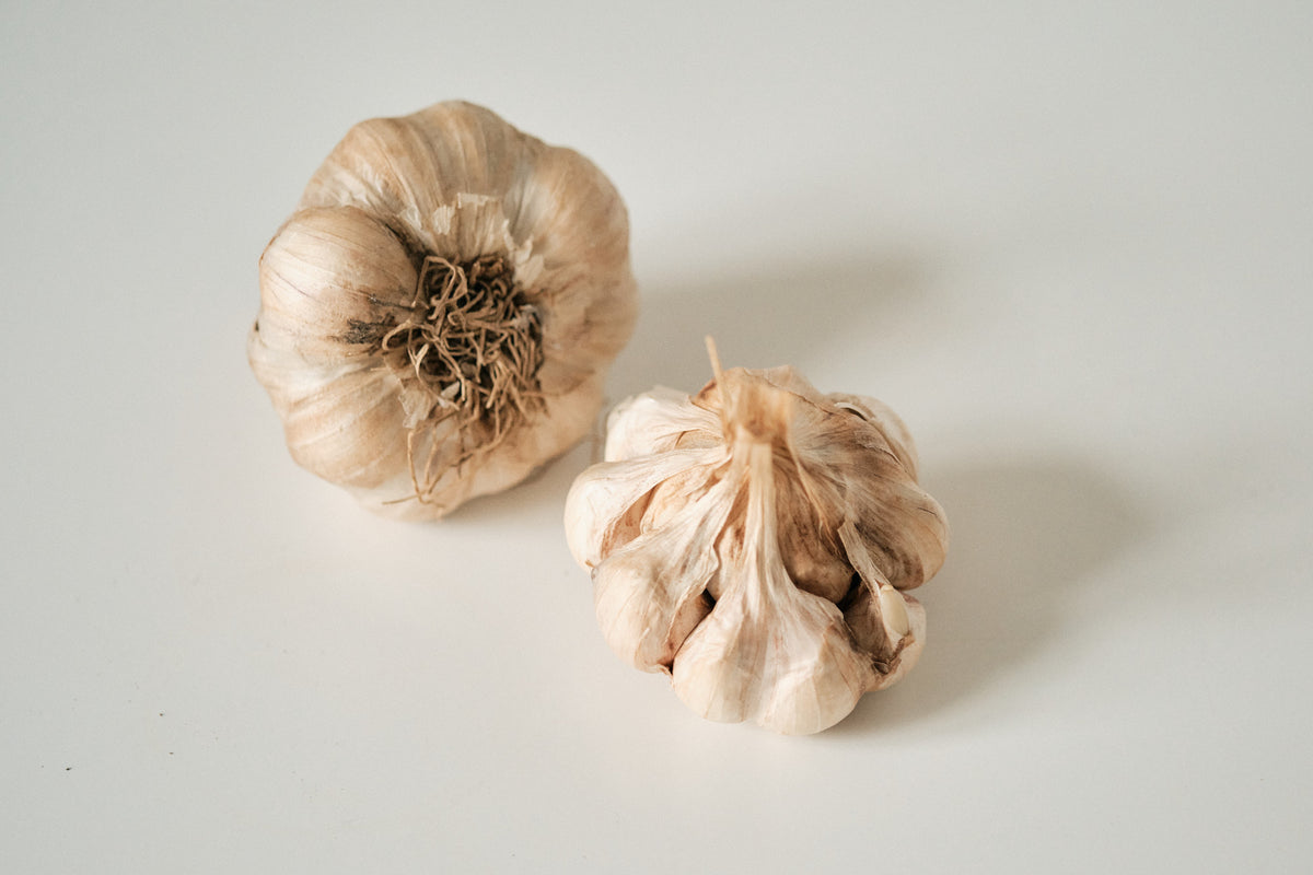 Inchelium Red (Artichoke Garlic)