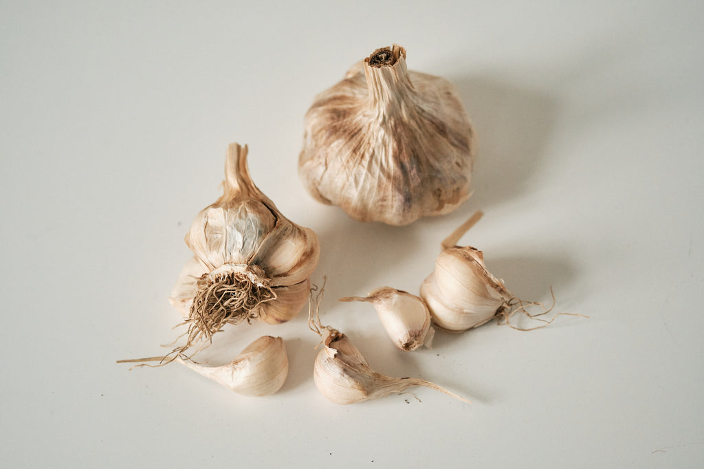 Inchelium Red (Artichoke Garlic)