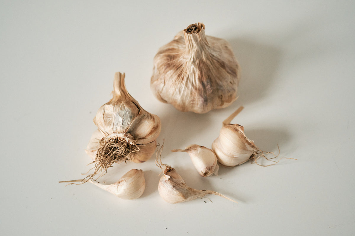 Inchelium Red (Artichoke Garlic)