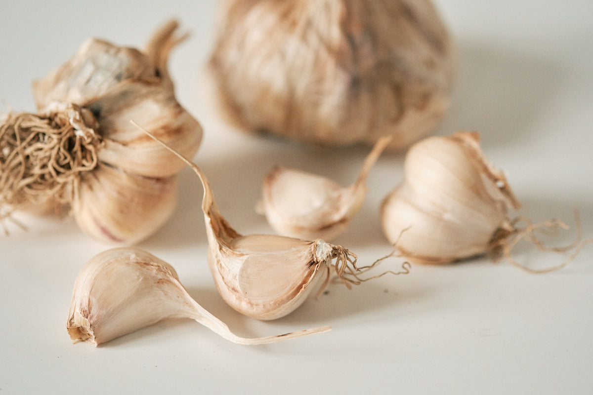 Inchelium Red (Artichoke Garlic)