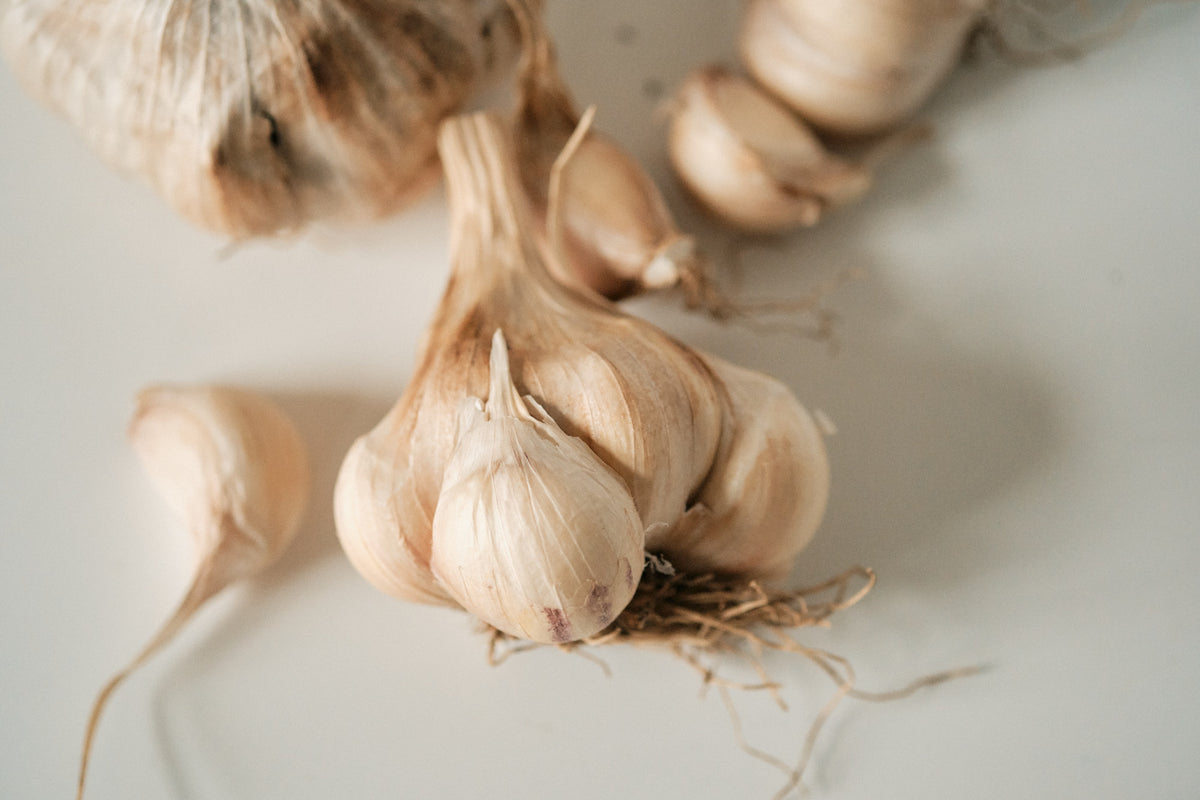 Inchelium Red (Artichoke Garlic)