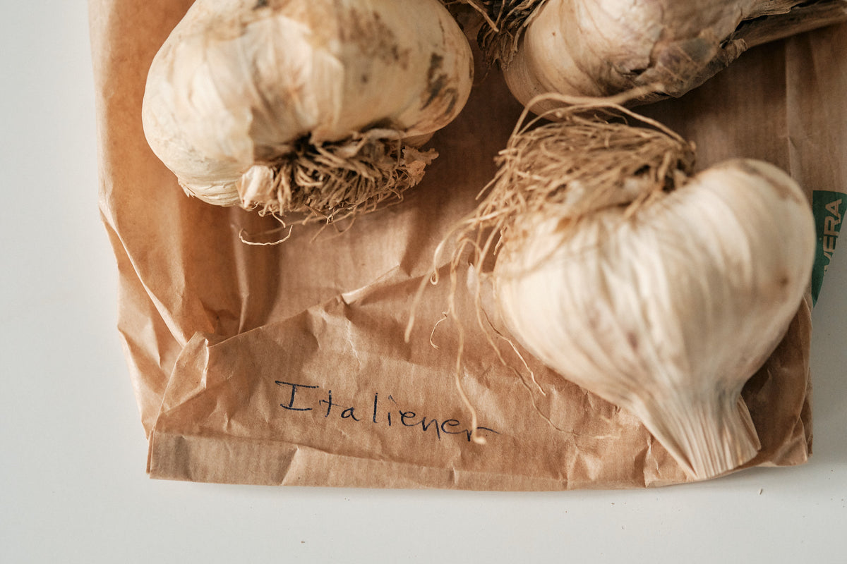 Italian (Artichoke Garlic)