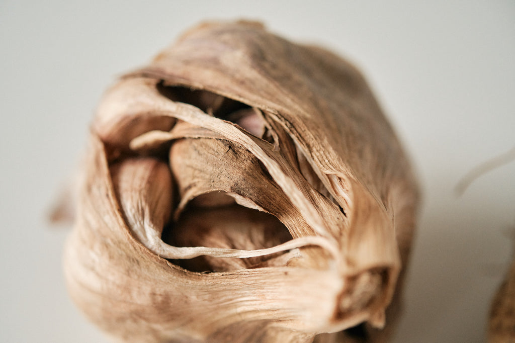 Italian (Artichoke Garlic)