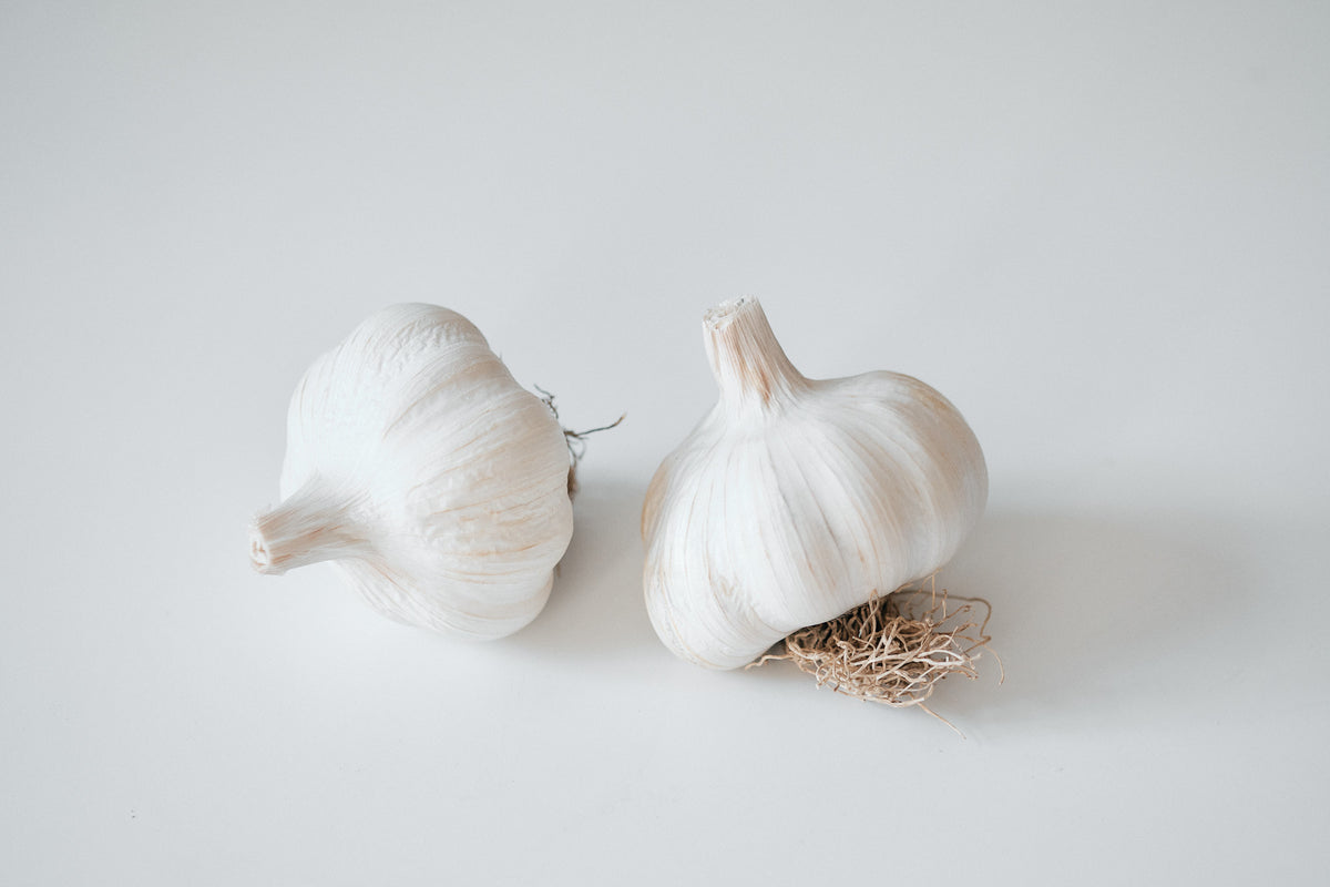 White Korean (Turban Garlic)