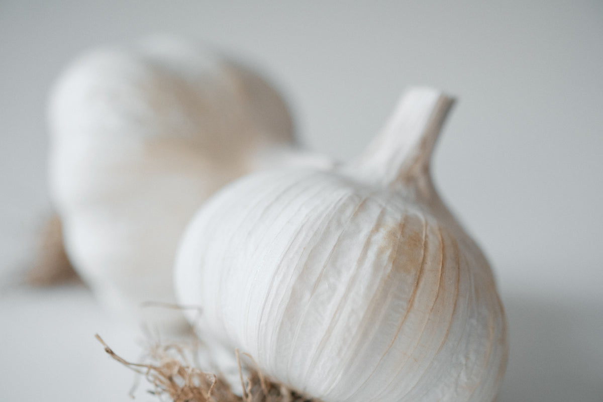 White Korean (Turban Garlic)