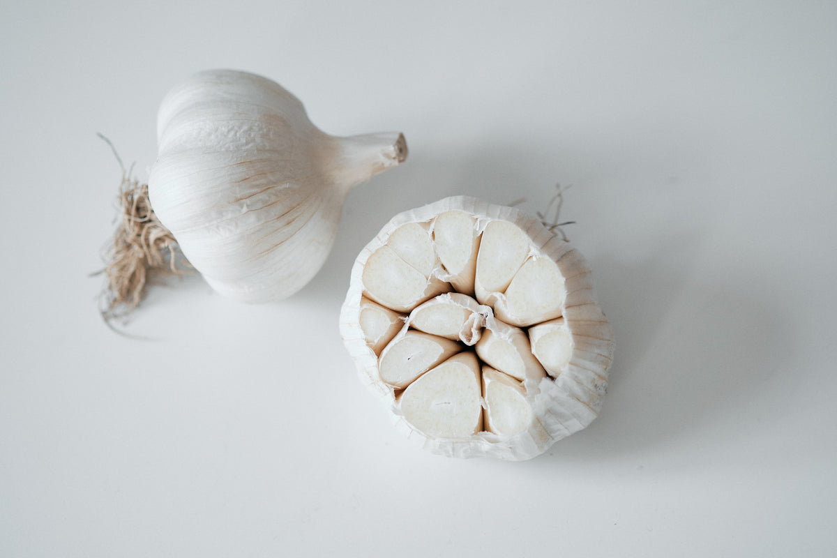 White Korean (Turban Garlic)