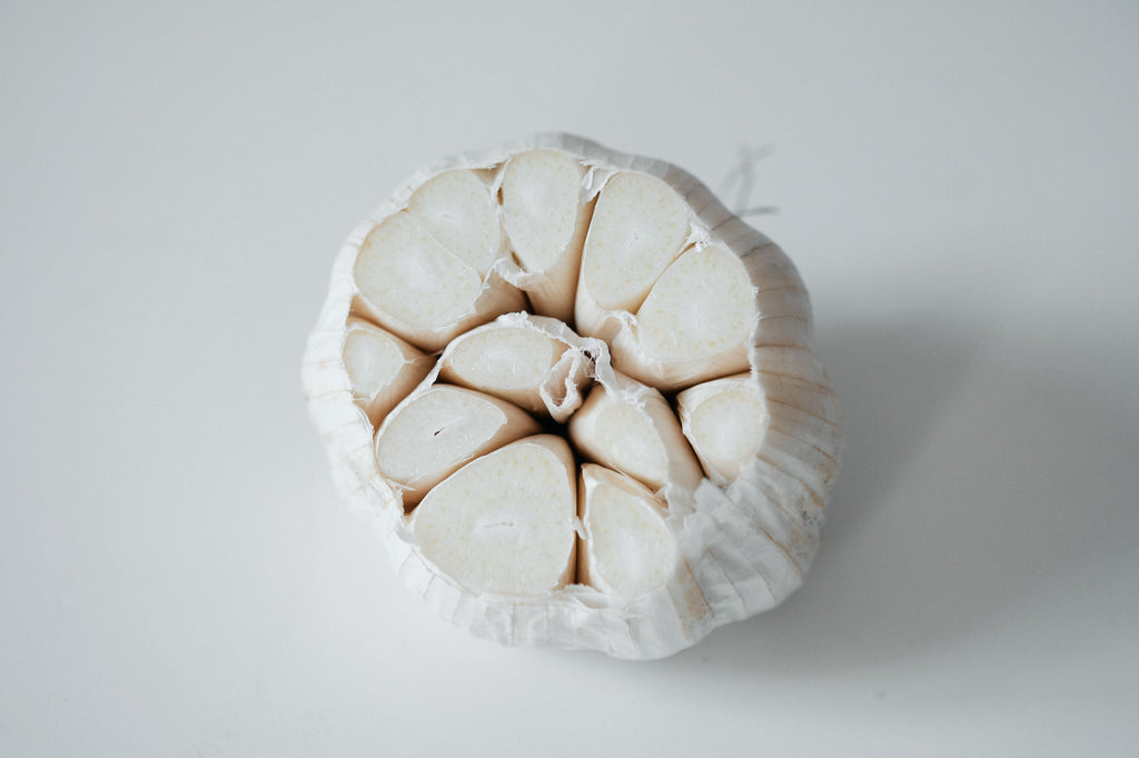 White Korean (Turban Garlic)