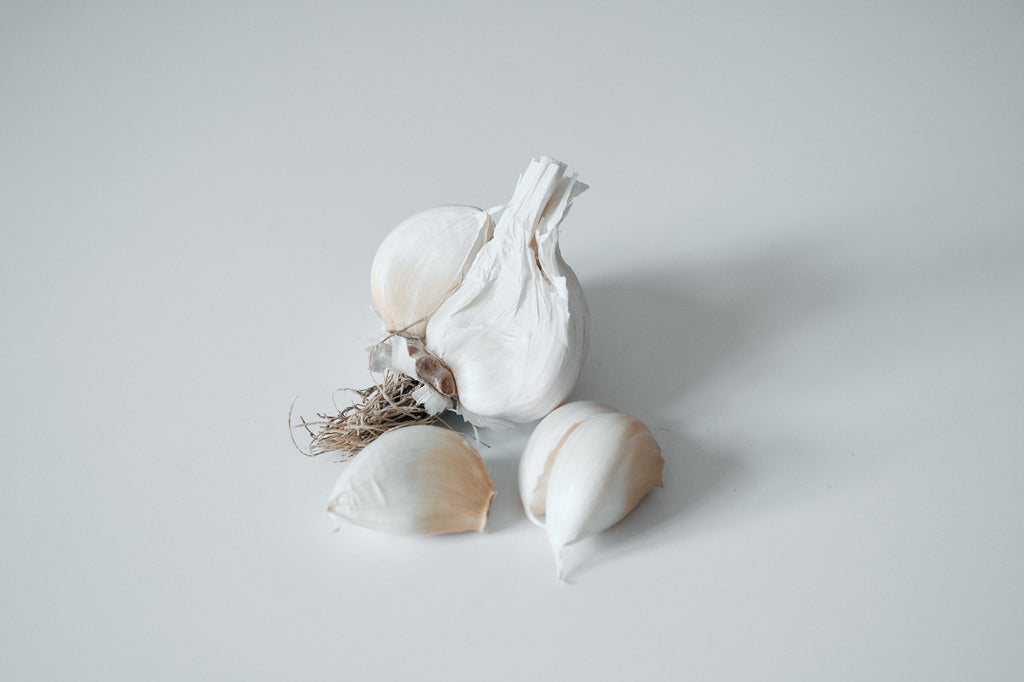 White Korean (Turban Garlic)