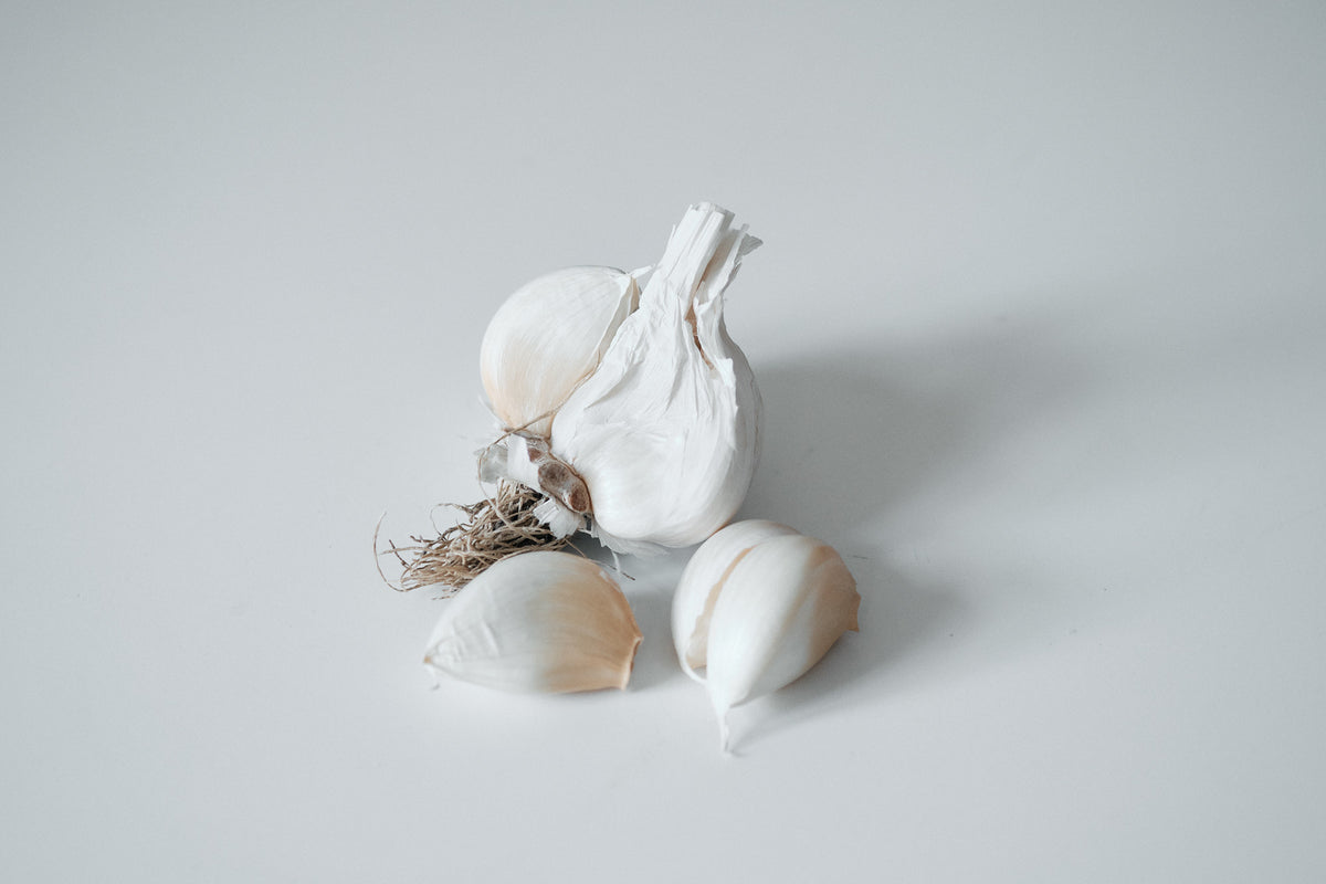 White Korean (Turban Garlic)