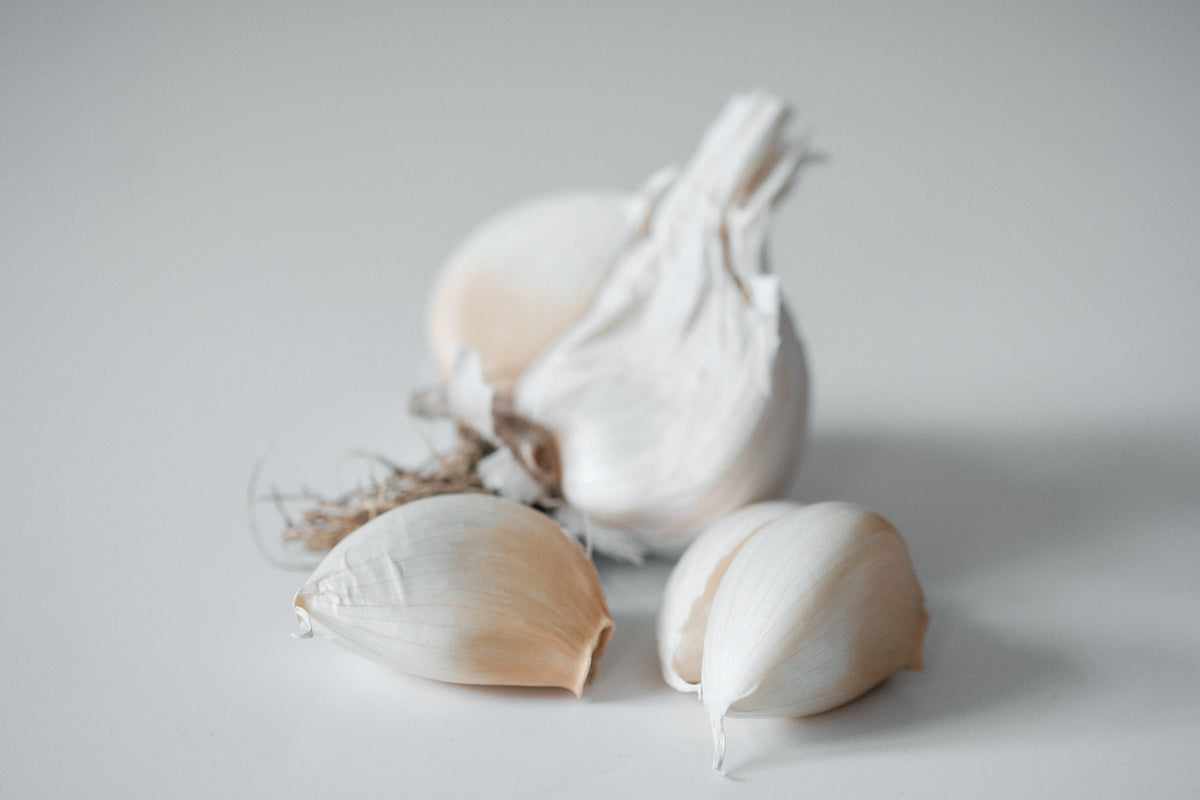 White Korean (Turban Garlic)