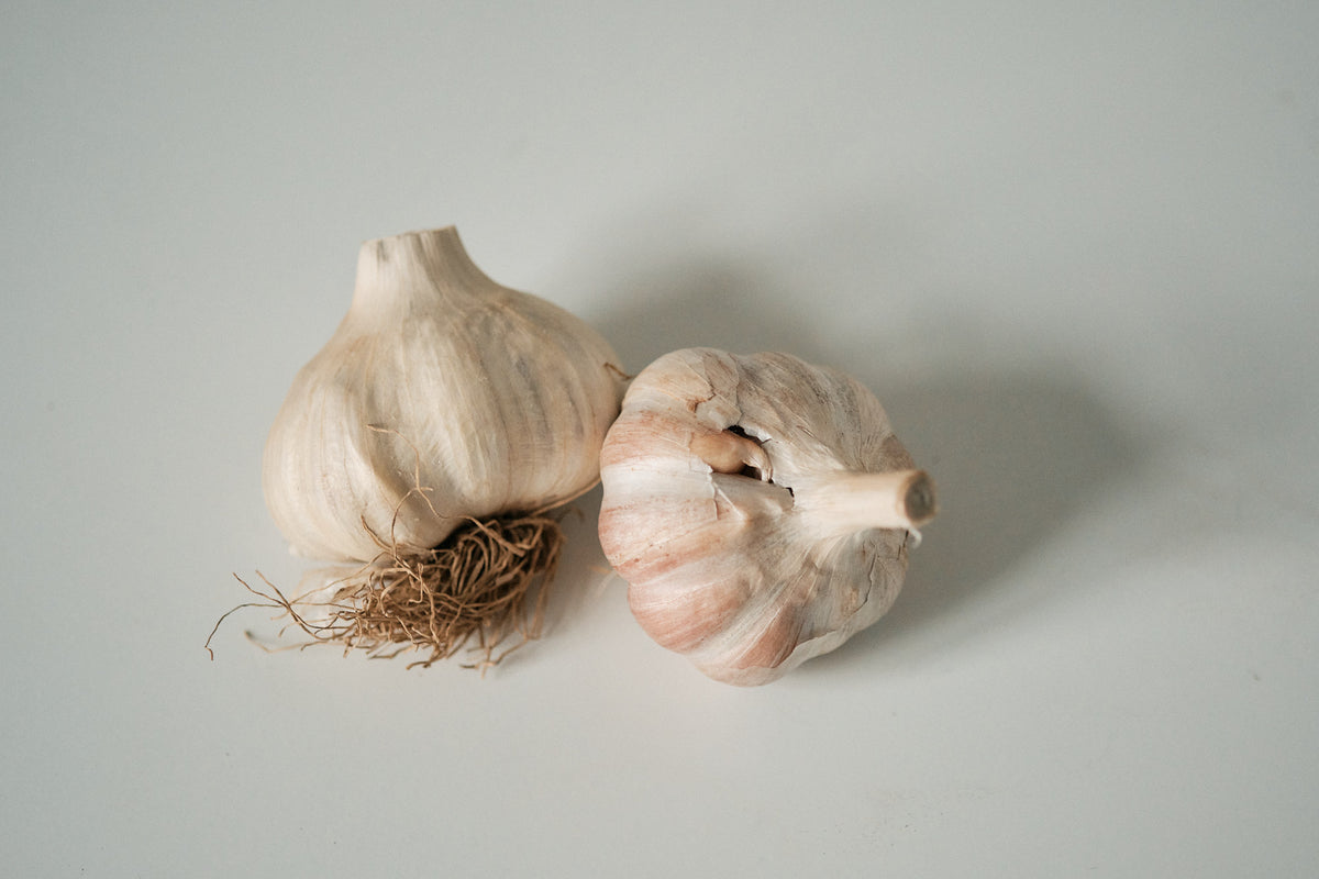 Korean (Rocambole Garlic)